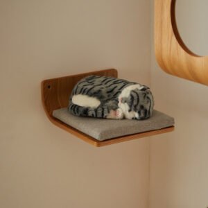 Solid wood wall-mounted curved cat shelf for climbing and resting.