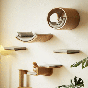 cat wall climbing shelf for home