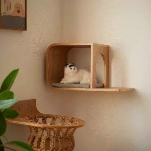 Wall-mounted wooden cat house with cushioned resting area.